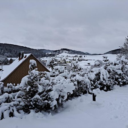 Sauerland-Tinyworld - Ihr Tiny Ferienhaus Im Sauerland Am Diemelsee Kültér fotó