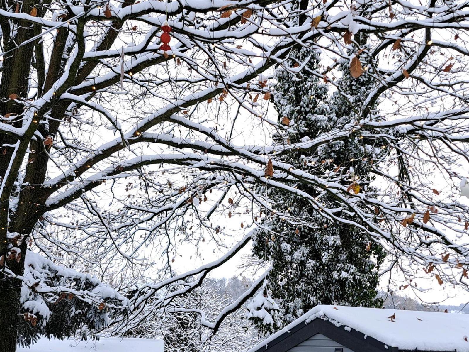 Sauerland-Tinyworld - Ihr Tiny Ferienhaus Im Sauerland Am Diemelsee Kültér fotó