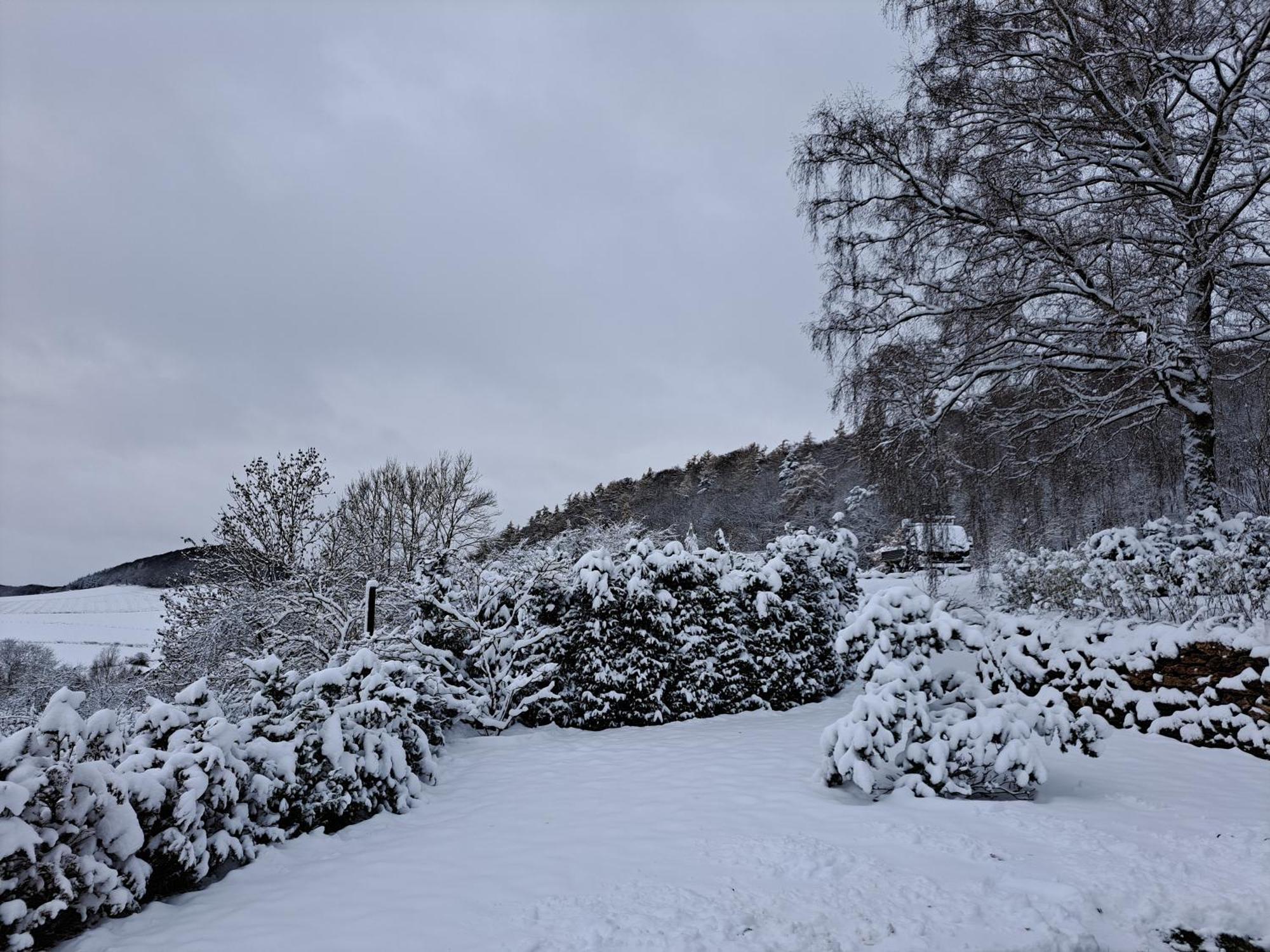 Sauerland-Tinyworld - Ihr Tiny Ferienhaus Im Sauerland Am Diemelsee Kültér fotó