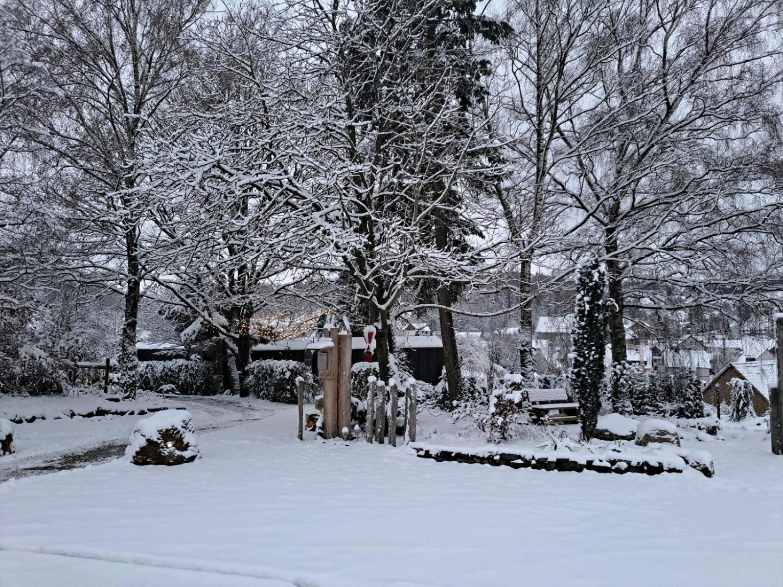 Sauerland-Tinyworld - Ihr Tiny Ferienhaus Im Sauerland Am Diemelsee Kültér fotó