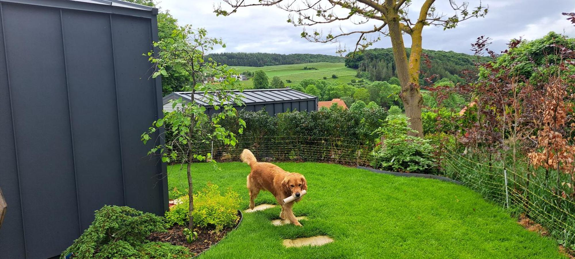 Sauerland-Tinyworld - Ihr Tiny Ferienhaus Im Sauerland Am Diemelsee Kültér fotó