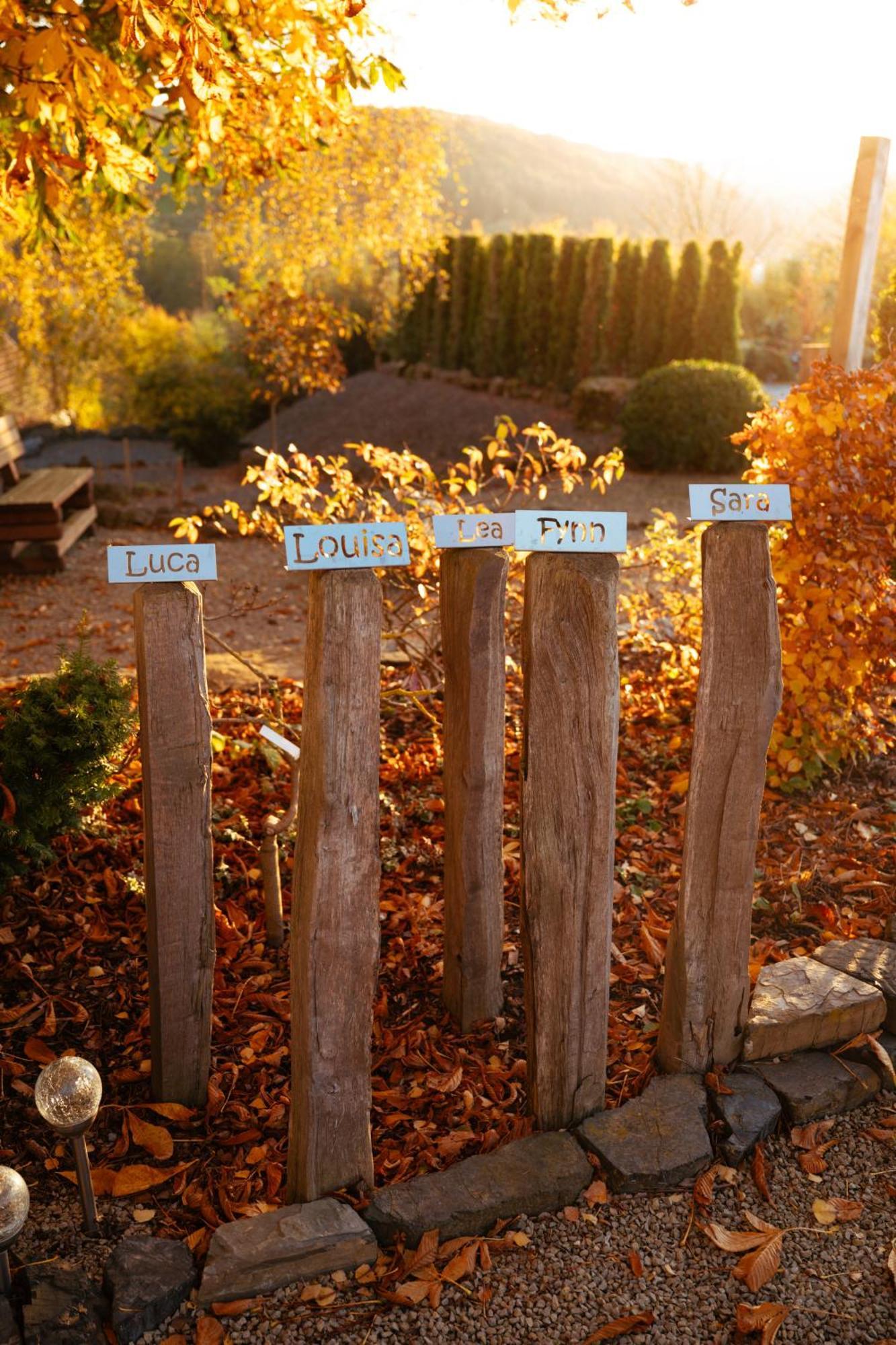 Sauerland-Tinyworld - Ihr Tiny Ferienhaus Im Sauerland Am Diemelsee Kültér fotó