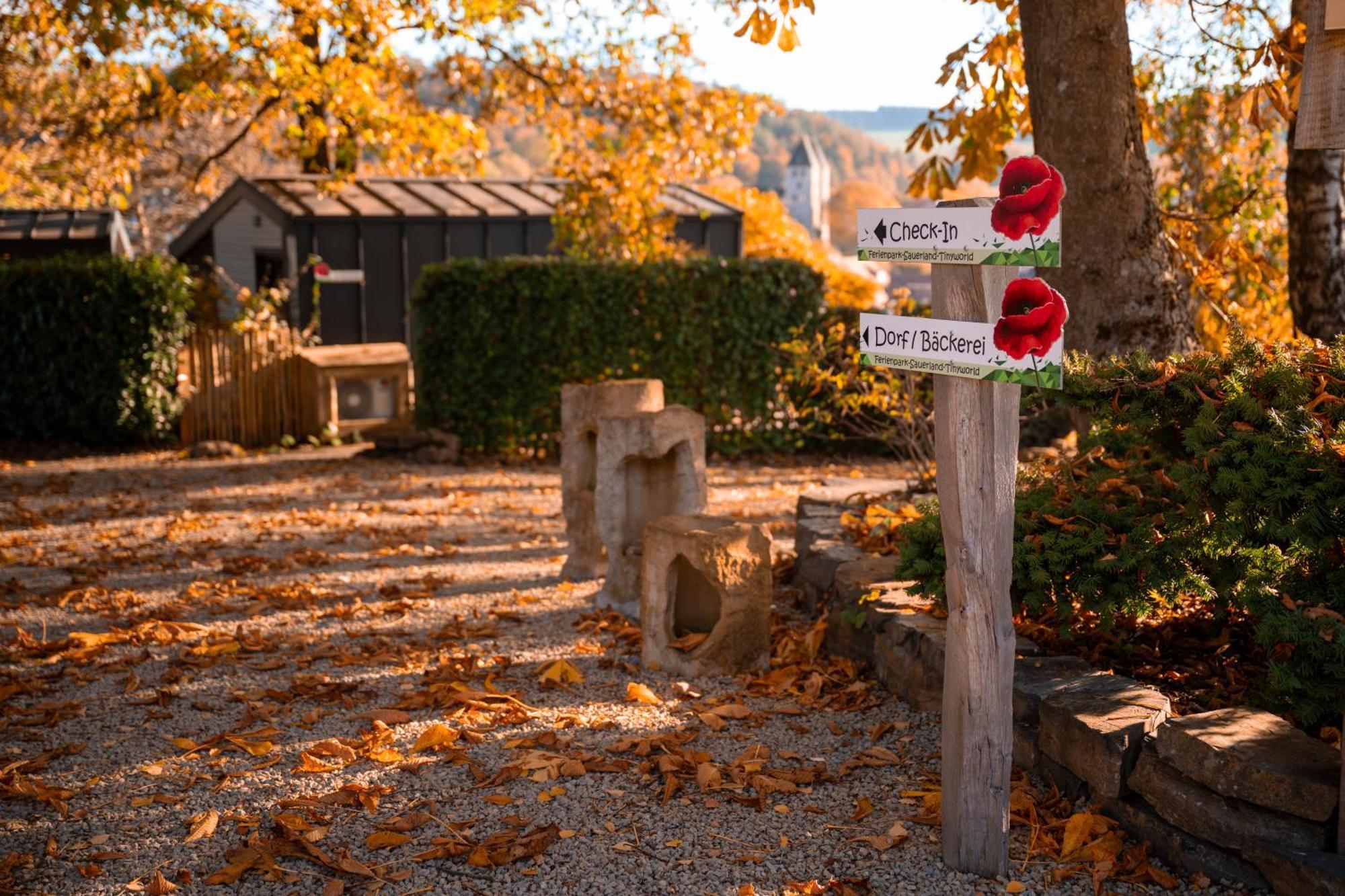 Sauerland-Tinyworld - Ihr Tiny Ferienhaus Im Sauerland Am Diemelsee Kültér fotó