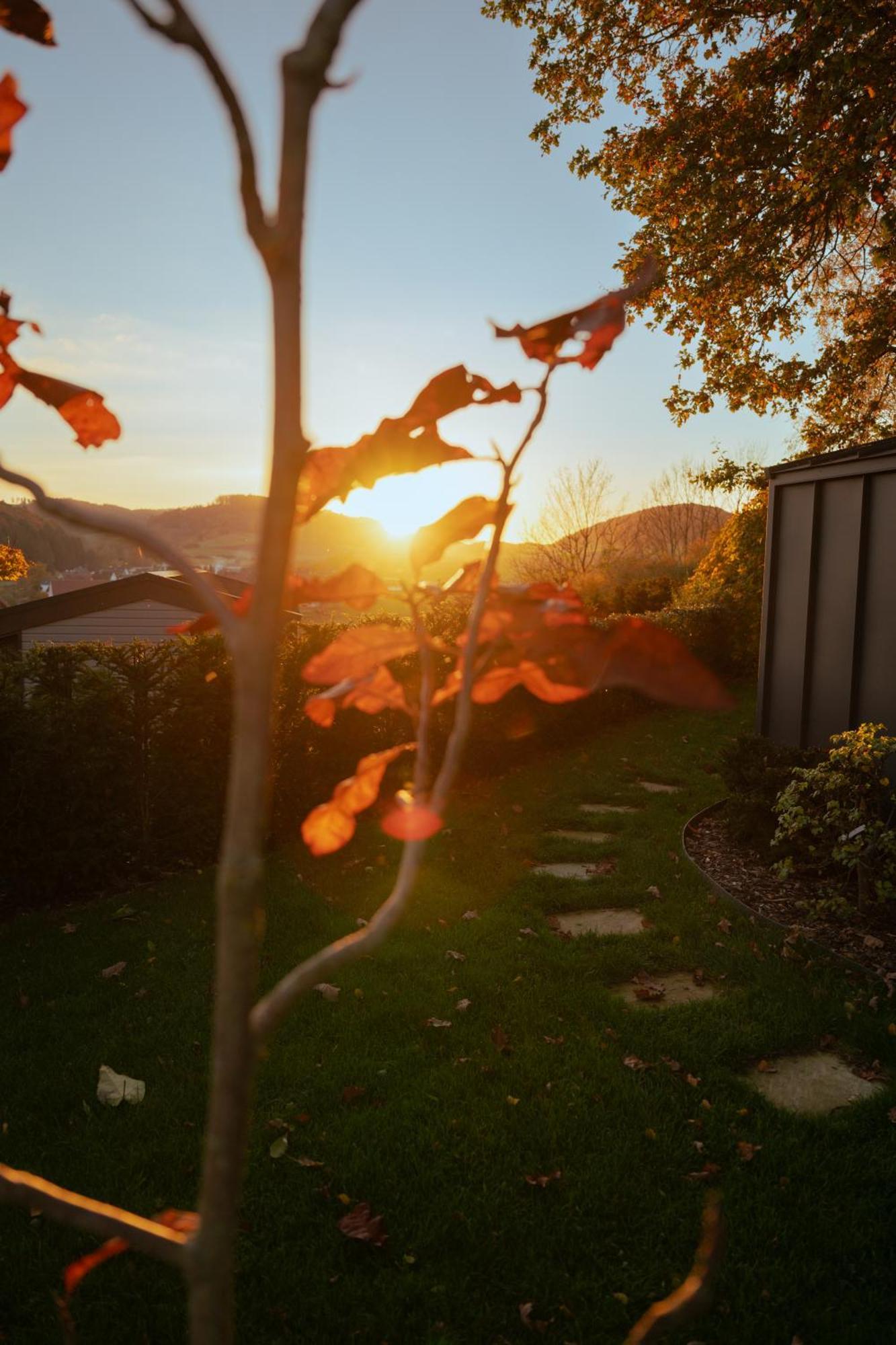Sauerland-Tinyworld - Ihr Tiny Ferienhaus Im Sauerland Am Diemelsee Kültér fotó