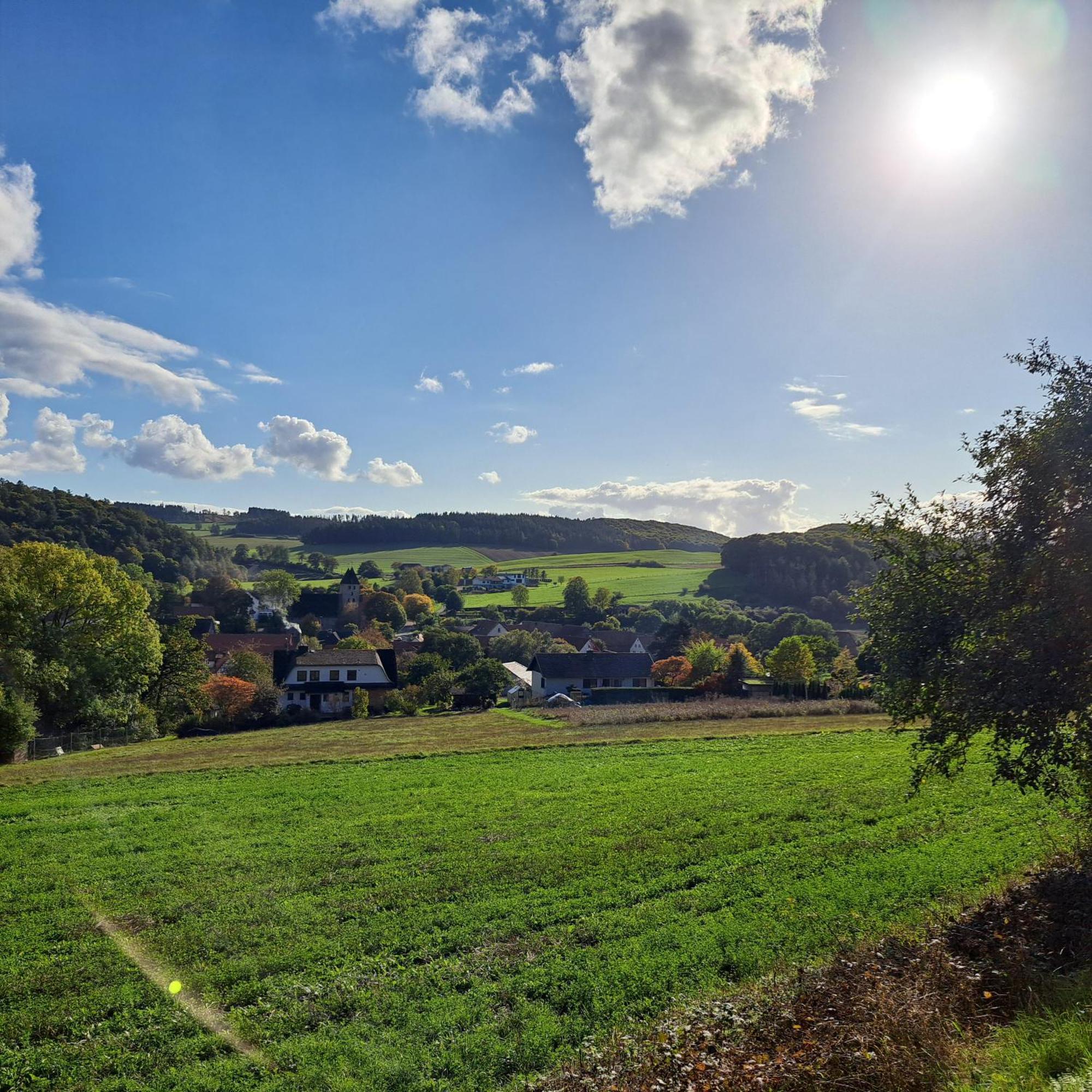 Sauerland-Tinyworld - Ihr Tiny Ferienhaus Im Sauerland Am Diemelsee Kültér fotó