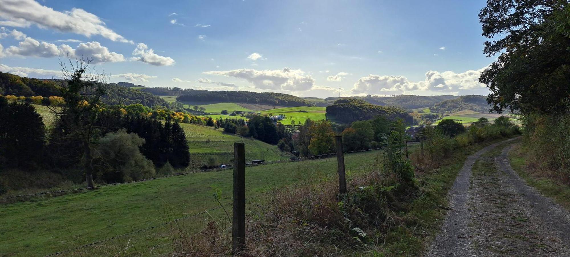 Sauerland-Tinyworld - Ihr Tiny Ferienhaus Im Sauerland Am Diemelsee Kültér fotó