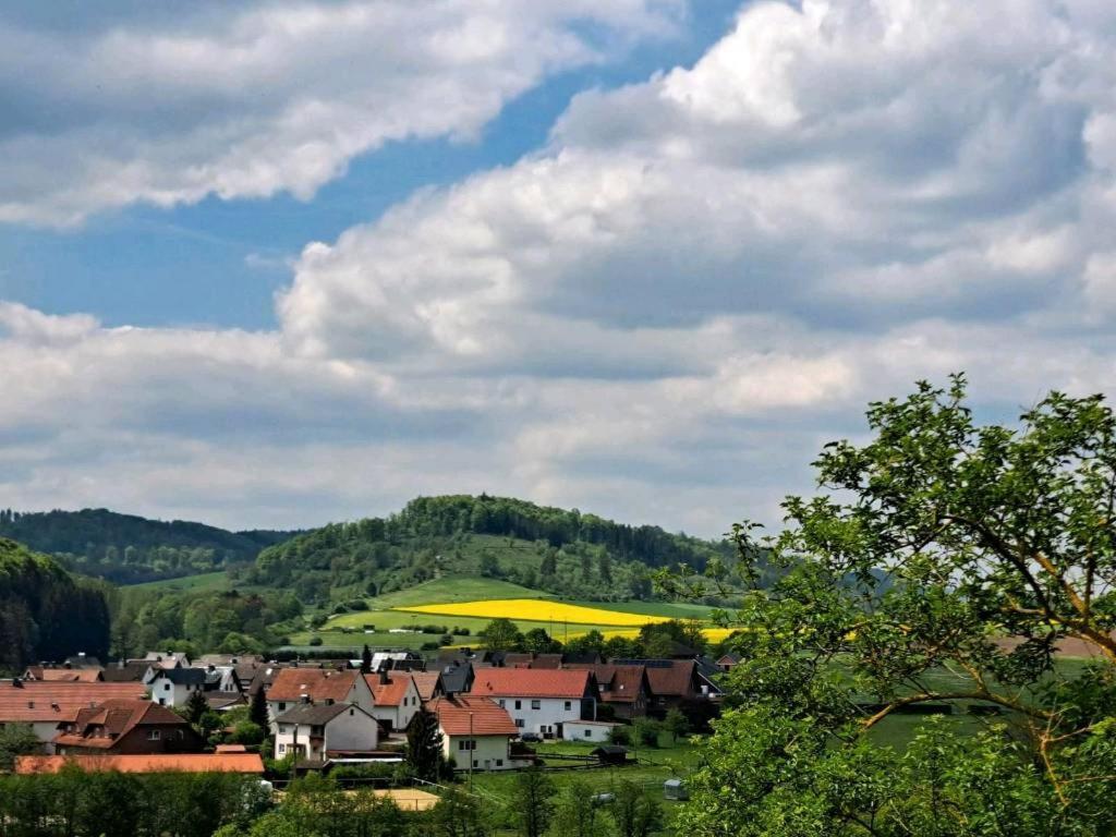 Sauerland-Tinyworld - Ihr Tiny Ferienhaus Im Sauerland Am Diemelsee Kültér fotó
