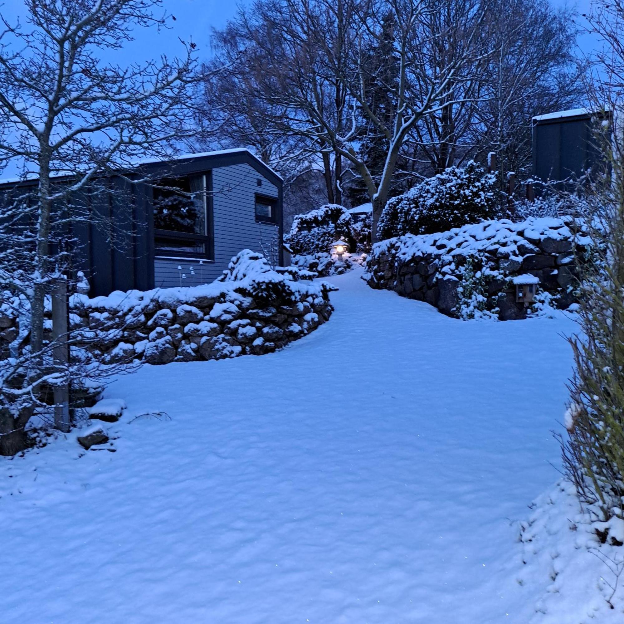 Sauerland-Tinyworld - Ihr Tiny Ferienhaus Im Sauerland Am Diemelsee Kültér fotó